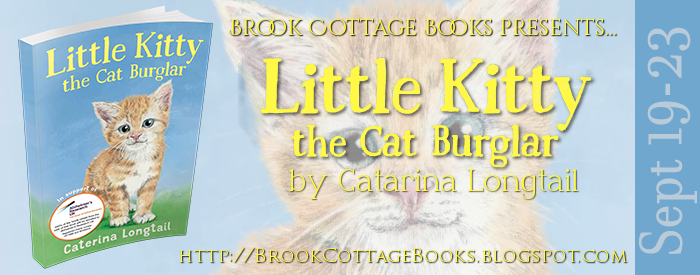 Little Kitty Tour Banner[358276]